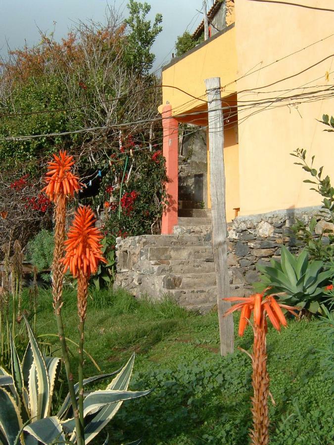 Madeira-Meerblick-Haus Estreito Da Calheta Bagian luar foto