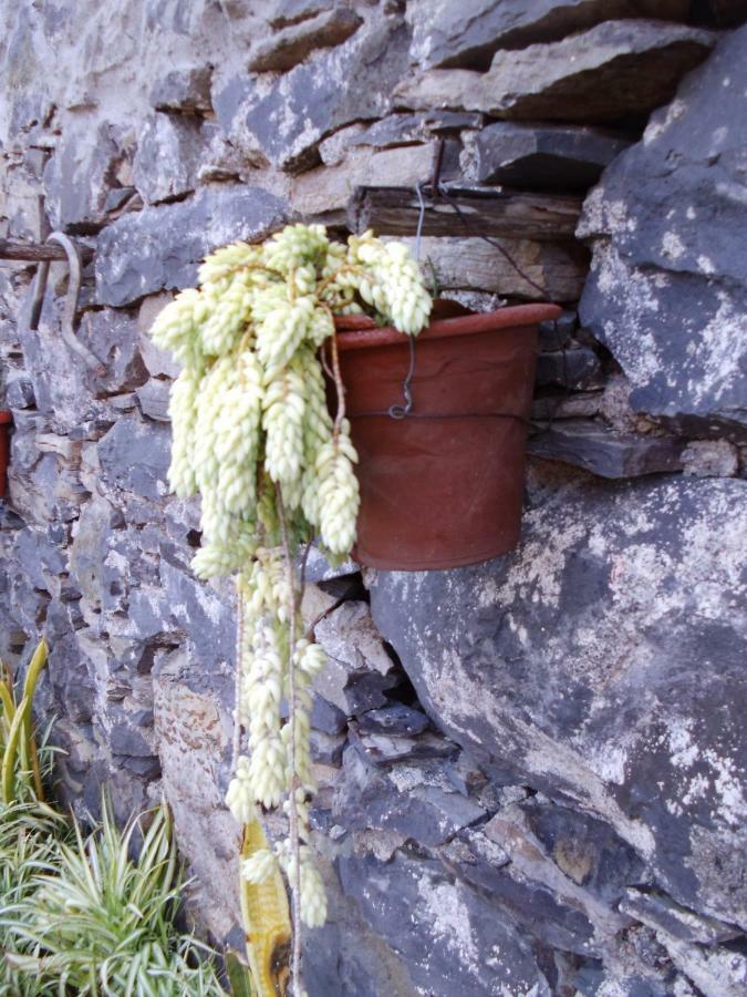 Madeira-Meerblick-Haus Estreito Da Calheta Bagian luar foto